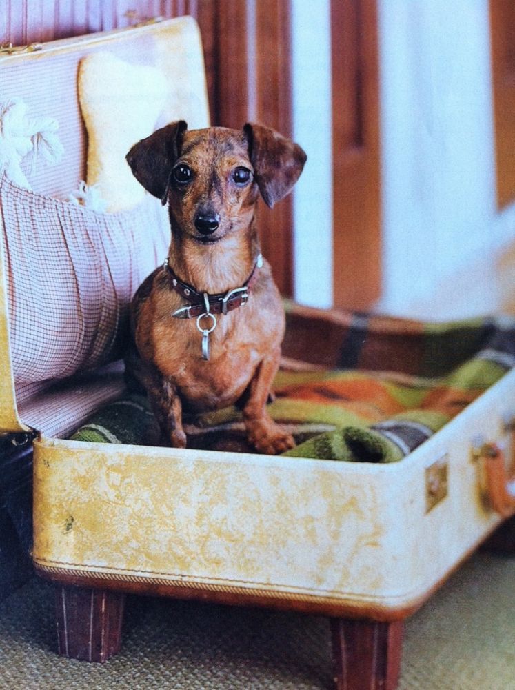 Photo credit: traverlo.com